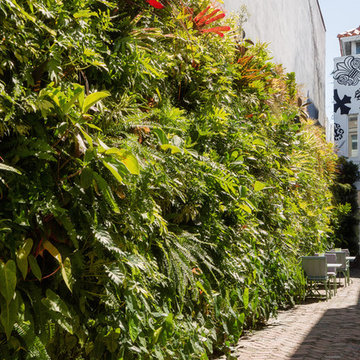 Delray Beach, Florida | Biophilic Design & Living Walls | TruVine Design