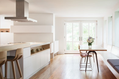 Dining room - scandinavian dining room idea in Boston