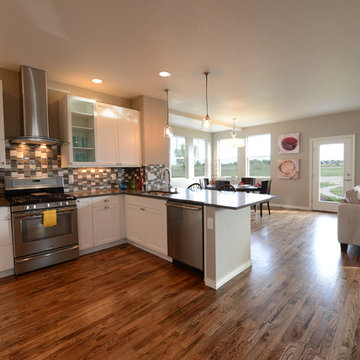 Erie Village House #5
