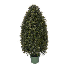 plants