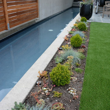 Contemporary Seaside Garden