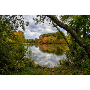 Lost in Autumn Color Landscape Photo, Rural Unframed Wall Art Print, 24" X 36"