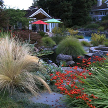 Landscape design