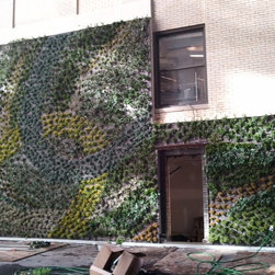 Detroit Source One Living Wall - Outdoor Pots And Planters