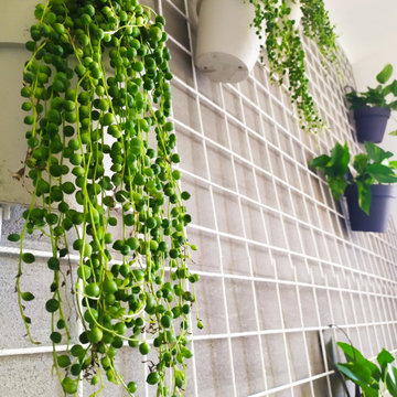 verde in ufficio