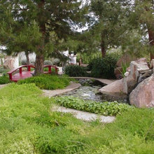 Landscape Ideas