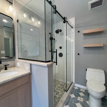 Towson Master Bathroom Remodel