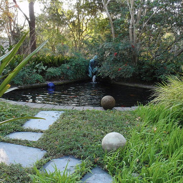 Koi Pond