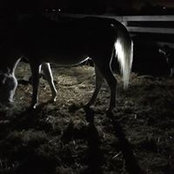 Kerrie Johnson's photo