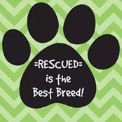 Kathy Thompson's photo