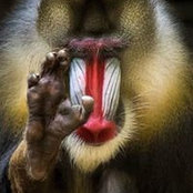 Mikael Shegeryan's photo