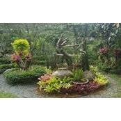 Roselyn Razalan's photo
