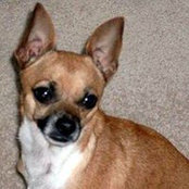 Monica Spanos-Bleckinger's photo