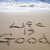 Terri Newton's photo