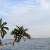 Oscar Toh's photo