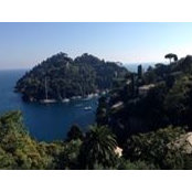Karim Ayoubi's photo
