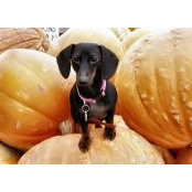 Lynnette Barrett's photo