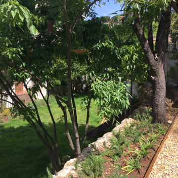 Un jardín de perennials