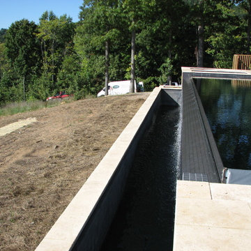 Infinity Edge Pool with Spa and Water Feature