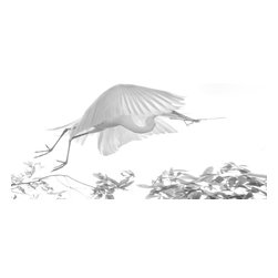 Wetlands Photographs - Fine Art Prints