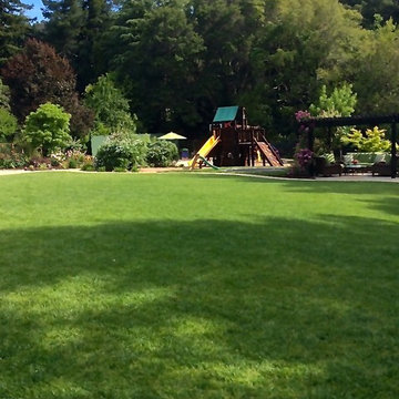 Orinda Backyard Park