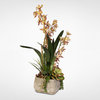 Green & Dusty Brown Silk Cymbidium Orchid & Succulents withPebbles in Cement Pot
