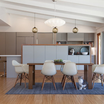 Stevens Mid-Century Ranch Renovation