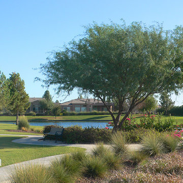 Province Maricopa