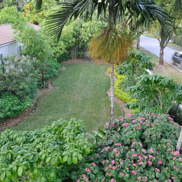 Miami Landscape Design Ideas