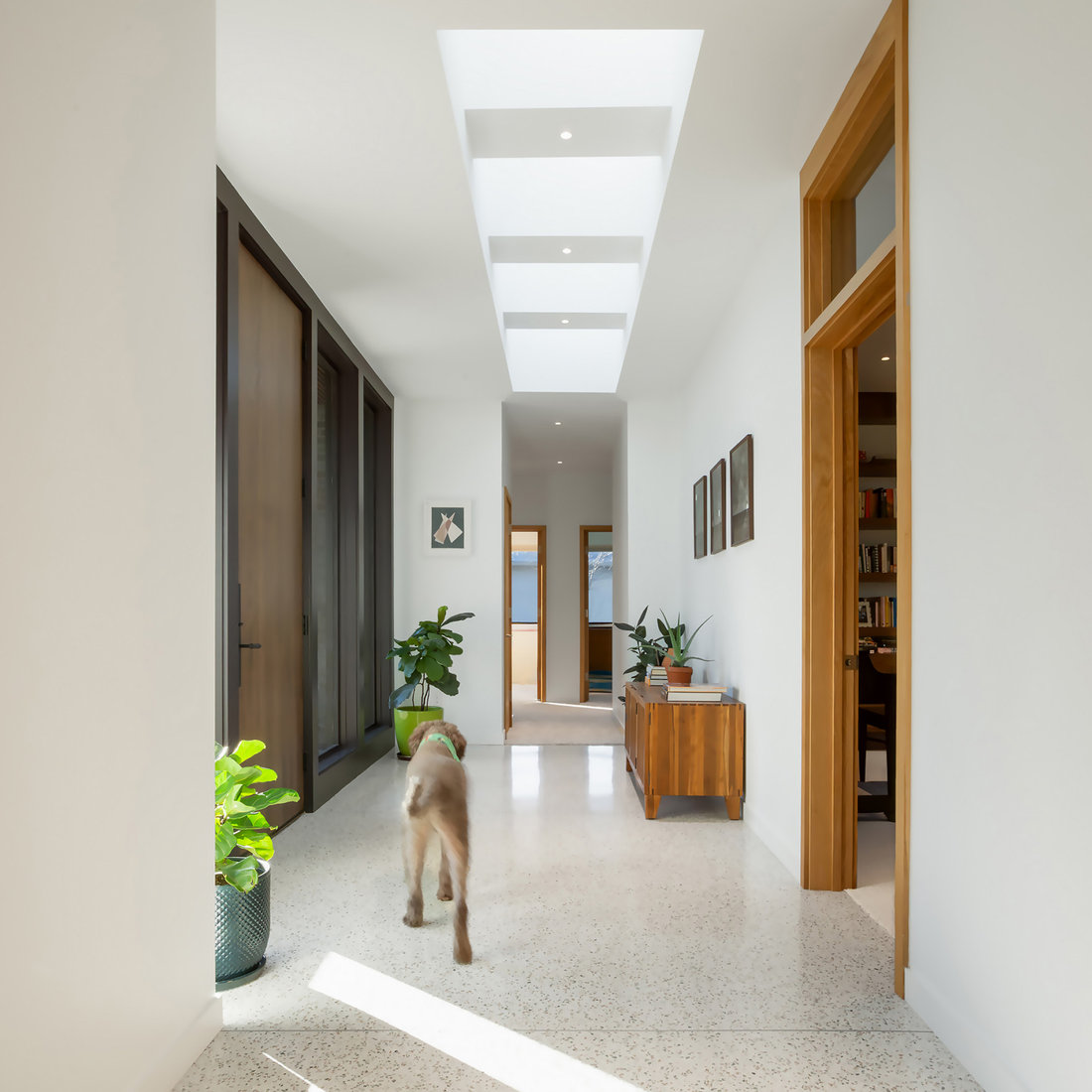 Brick Modern House