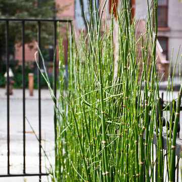 Brooklyn Front 1