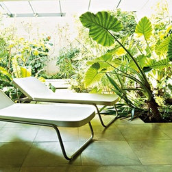 Time Out Reclining Chaise Lounge by Serralunga - Outdoor Chaise Lounges