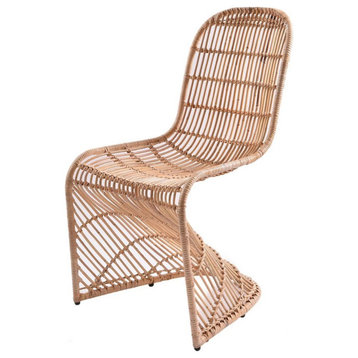 Pemberly Row 17.5" Modern Rattan & Steel Chair in Natural (Set of 2)