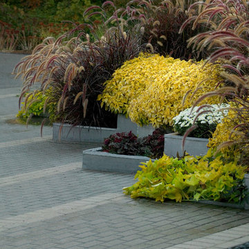 Modern Planter Boxes