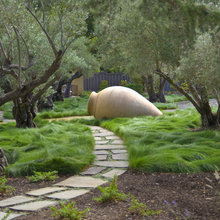 Front Grass