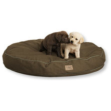 Contemporary Dog Beds by L.L. Bean