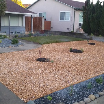 New Front Yard. Grass, Planting and Pebbles in San Pablo CA