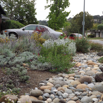 Low water butterfly garden