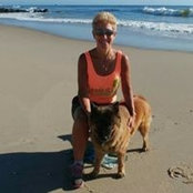 Sue Haftel's photo