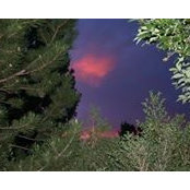 Laura Frampton's photo