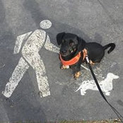 Joel Bubeck's photo