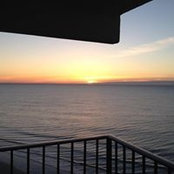 Lora Larson's photo