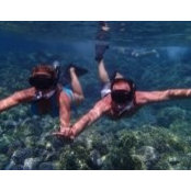 Mark Avetissian's photo