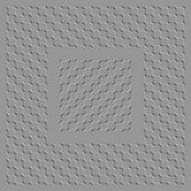 Alex Jarvis's photo
