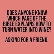 Karin Grahelj's photo