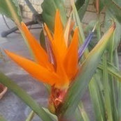 Debra Greenly's photo