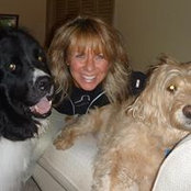 Elizabeth Ascione's photo