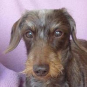Christiane Collot's photo