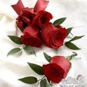 نجلاء شهوانs foto