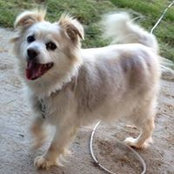 Marli Holden's photo